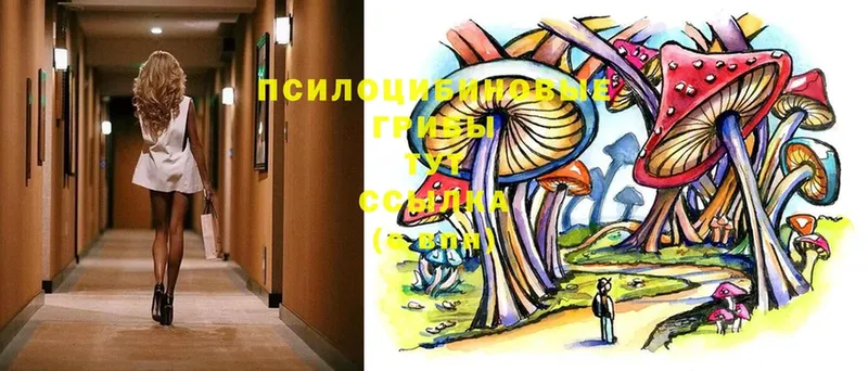 Псилоцибиновые грибы Magic Shrooms  цена   гидра сайт  Бронницы 